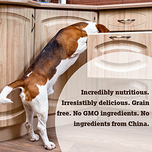 Natural Dog Treats with High-Quality Protein & Antioxidants