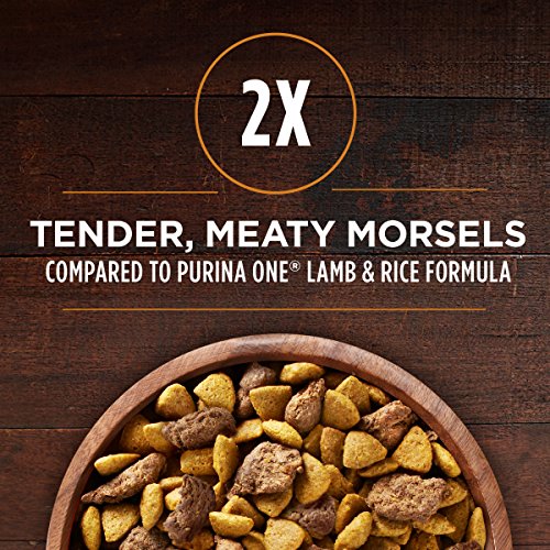 Natural Venison Dog Food | Purina Smartblend | Nutrition for Dogs