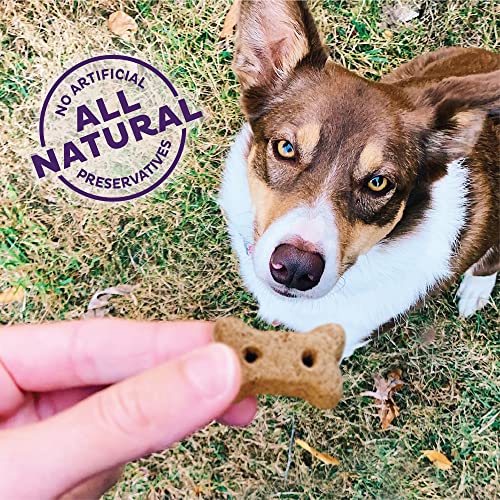 Mini Crunchy Dog Treats with Natural Ingredients | North America