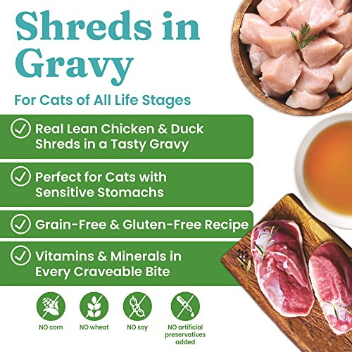 Nourish Your Cat's Tummy with Solid Gold Nature's Harmony Shreds in Gravy