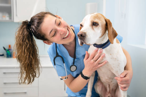 Get the Best Pet Care at Your Local Vet Clinic