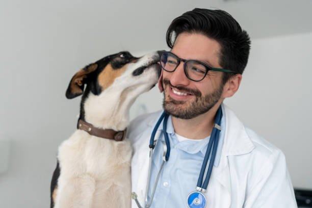 Find a Reputable Vet Clinic Near You to Ensure Optimal Pet Health and Well-being